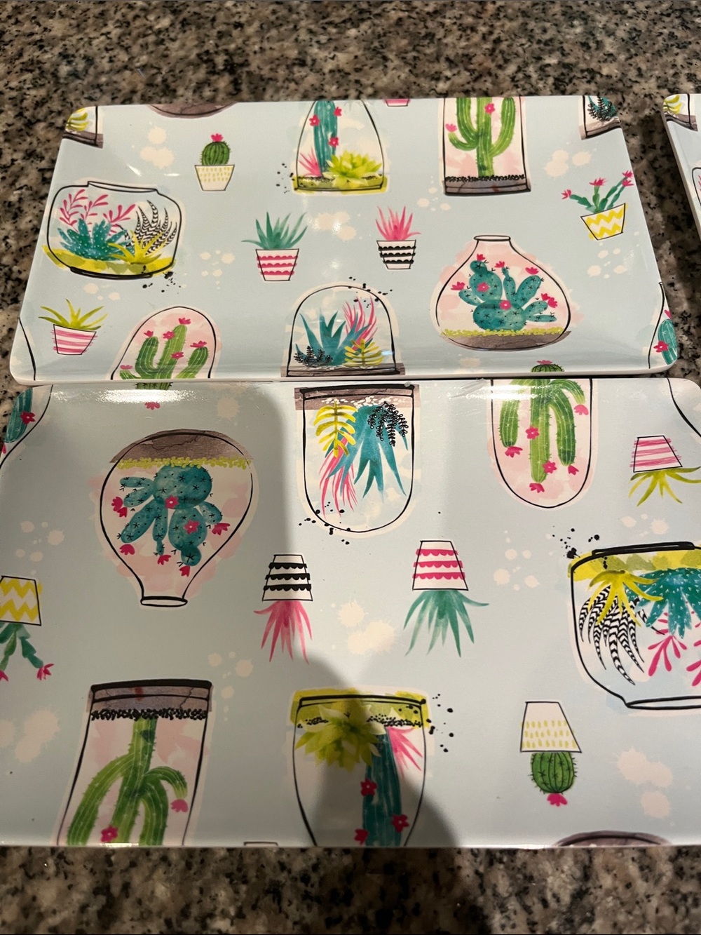 Blue Cactus & Succulent trays (4)